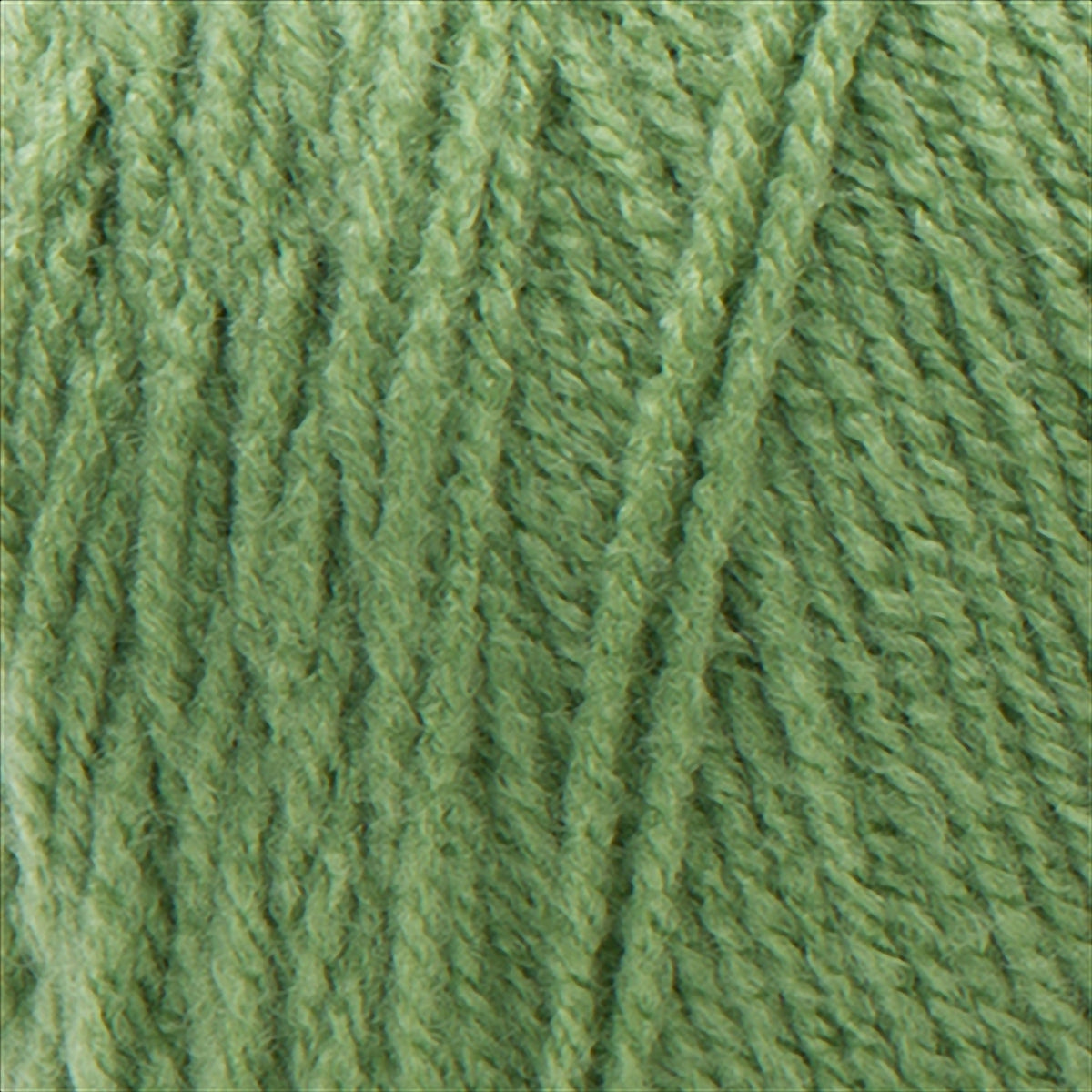 Tea Leaf