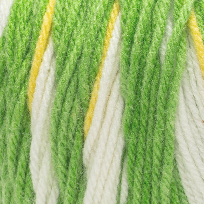 Red Heart All In One Flower Power Yarn (250g/8.8oz) Flower Field