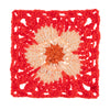 Red Hot Phlox