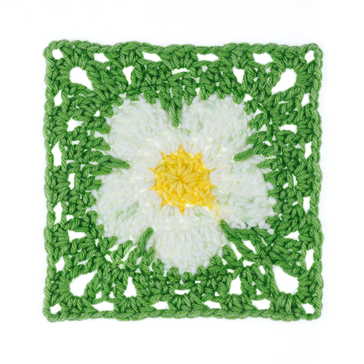 Flower Field