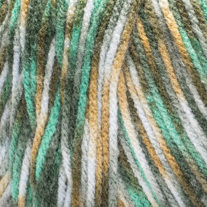 Red Heart Jazzy Yarn (250g/8.8oz) Meadow Medley